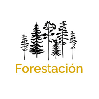 Forestación